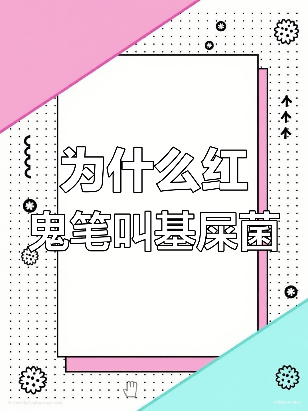 红鬼笔为何被称为鸡屎菌?揭秘真菌的奇特名字由来