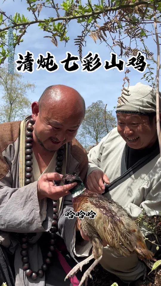 回忆儿时往昔,投石惊飞鸟,正中七彩山鸡,馋意顿消,痛快!