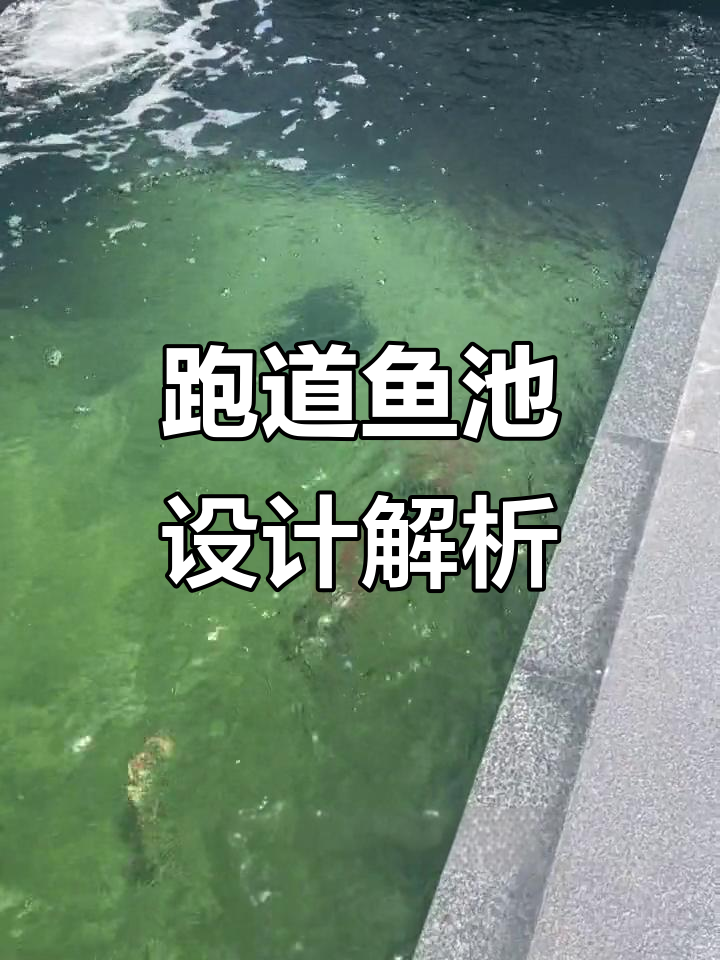 跑道鱼池揭秘：如何打造自然观赏与实用并存的池塘