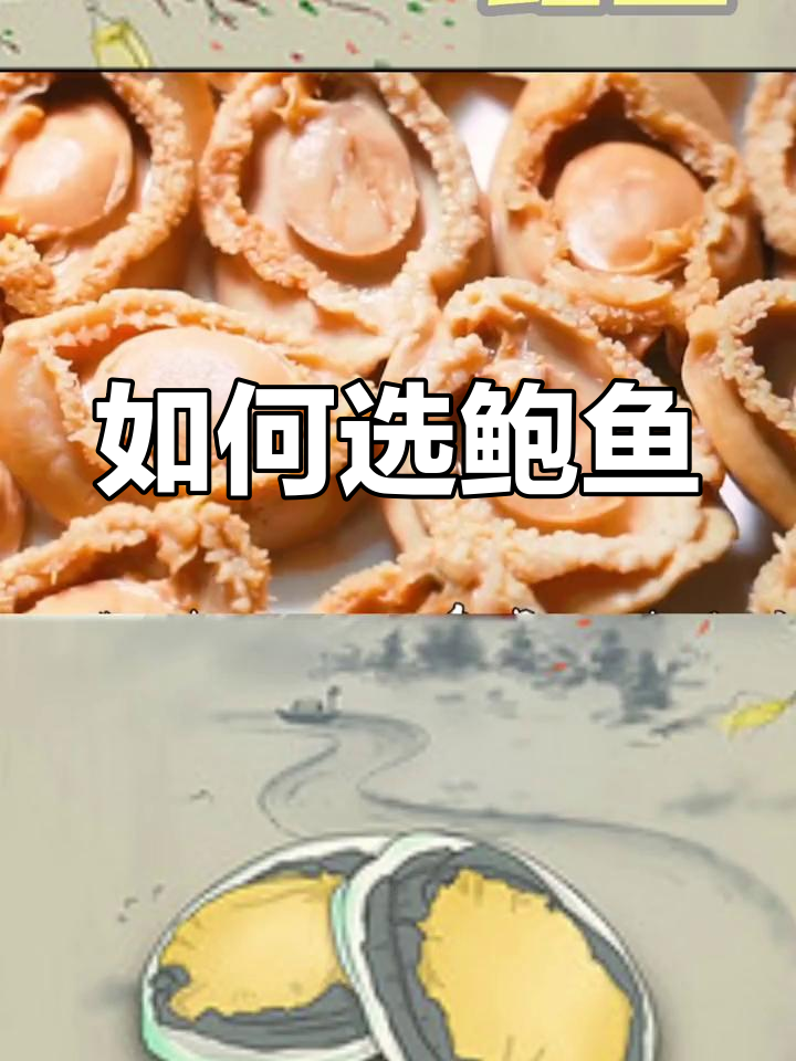 鲍鱼种类与干鲜对比,如何挑选最肥美