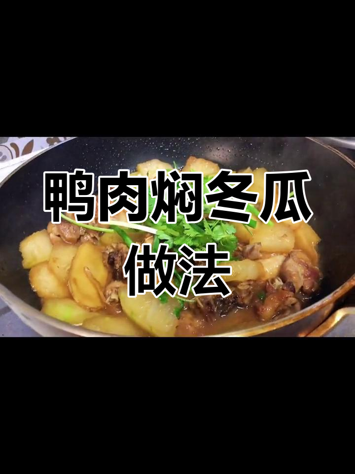 鸭肉与冬瓜的完美搭配,焖煮技巧大公开