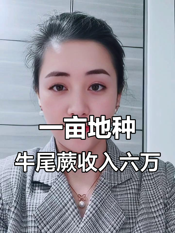 牛尾蕨：一亩地年赚六万，短期采摘芽头卖菜，长期挖根当药材