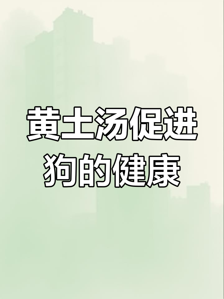 绿色养殖新选择:黄土汤助力宠物健康