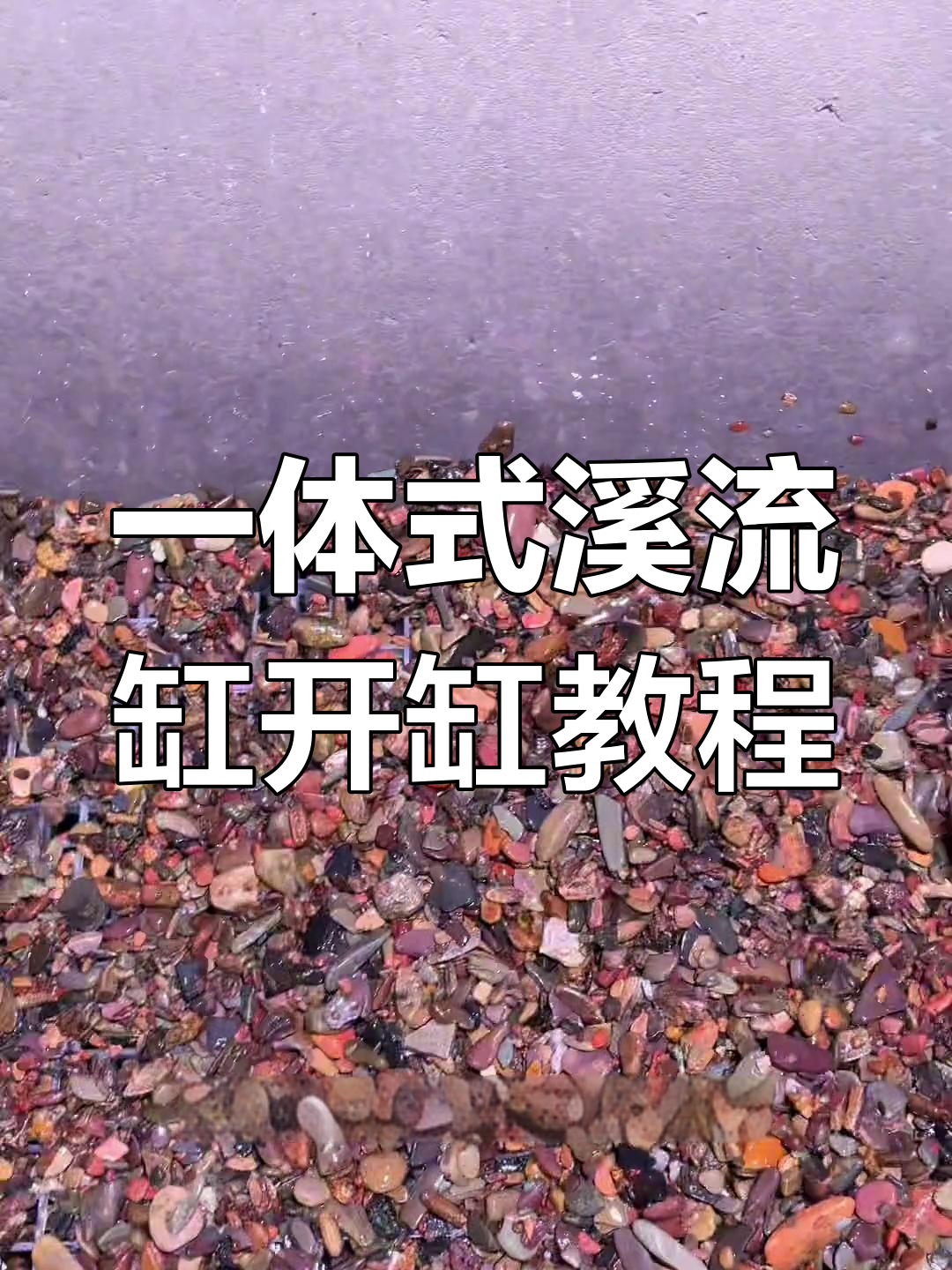 溪流缸造景全攻略:简单又清透,水杨梅消毒技巧大揭秘