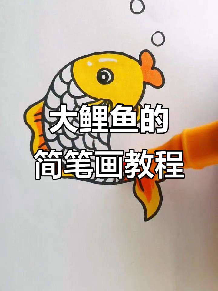 轻松画出可爱大鲤鱼,步骤简单又有趣