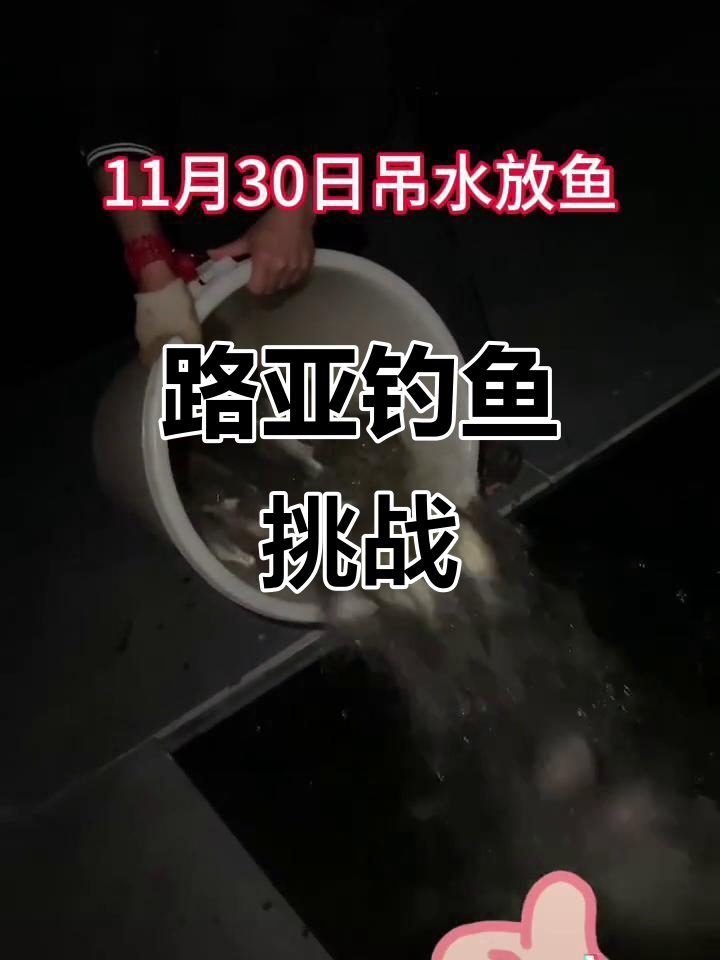 11月30日路亚钓鲈鱼,放水桶挑战20条大标语