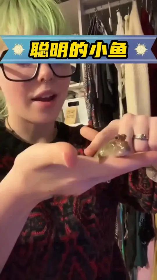 女孩在河边发现一条会走路的小鱼,没想到带回家后小鱼这么可爱 自然奇境科普季 小动物们能有多