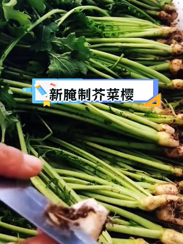 芥菜樱子新腌法,冬季美味随吃
