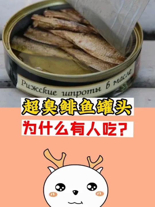 超级臭的鲱鱼罐头,为什么有人吃?