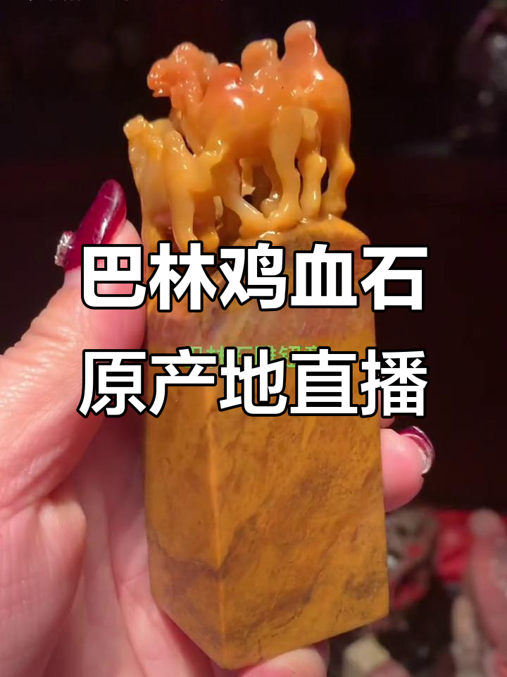 探秘巴林鸡血石原产地,直播展示真实品质