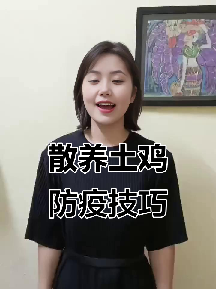 土鸡疫苗全流程揭秘,养殖必看!