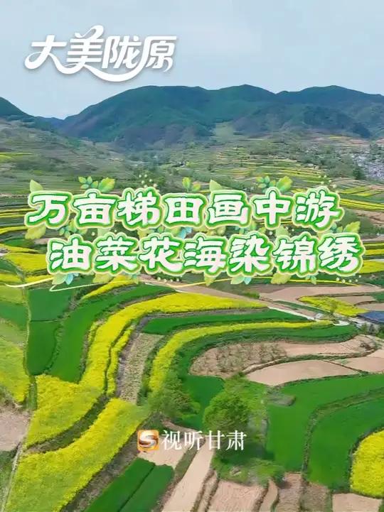 大美陇原｜万亩梯田画中游 油菜花海染锦绣！（甘肃广电总台全媒体记者：余恩波 刘向红 王亚龙
