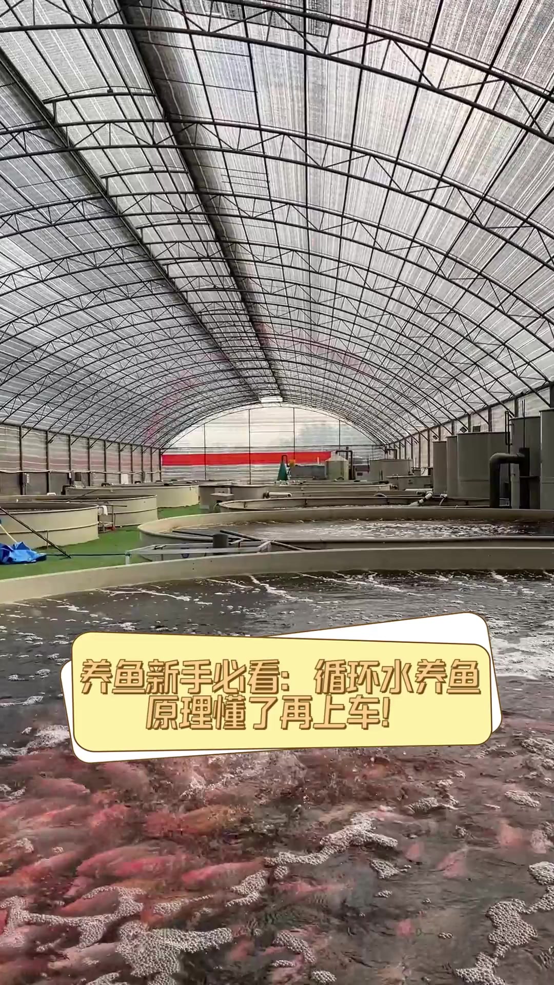 养鱼新手必看:循环水养鱼,原理懂了再上车!