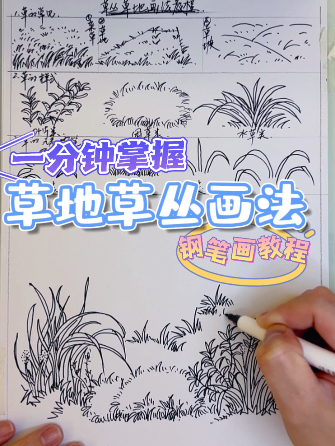 钢笔画干货三步学会小草草地画法教程