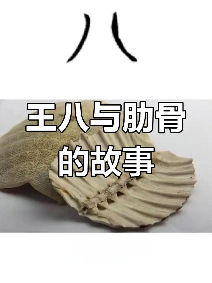 八王八的秘密：从鳖壳到数字密码