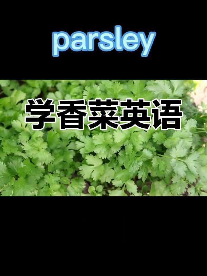 香菜英语大揭秘:从泡菜到香草粉,轻松学会蔬菜词汇