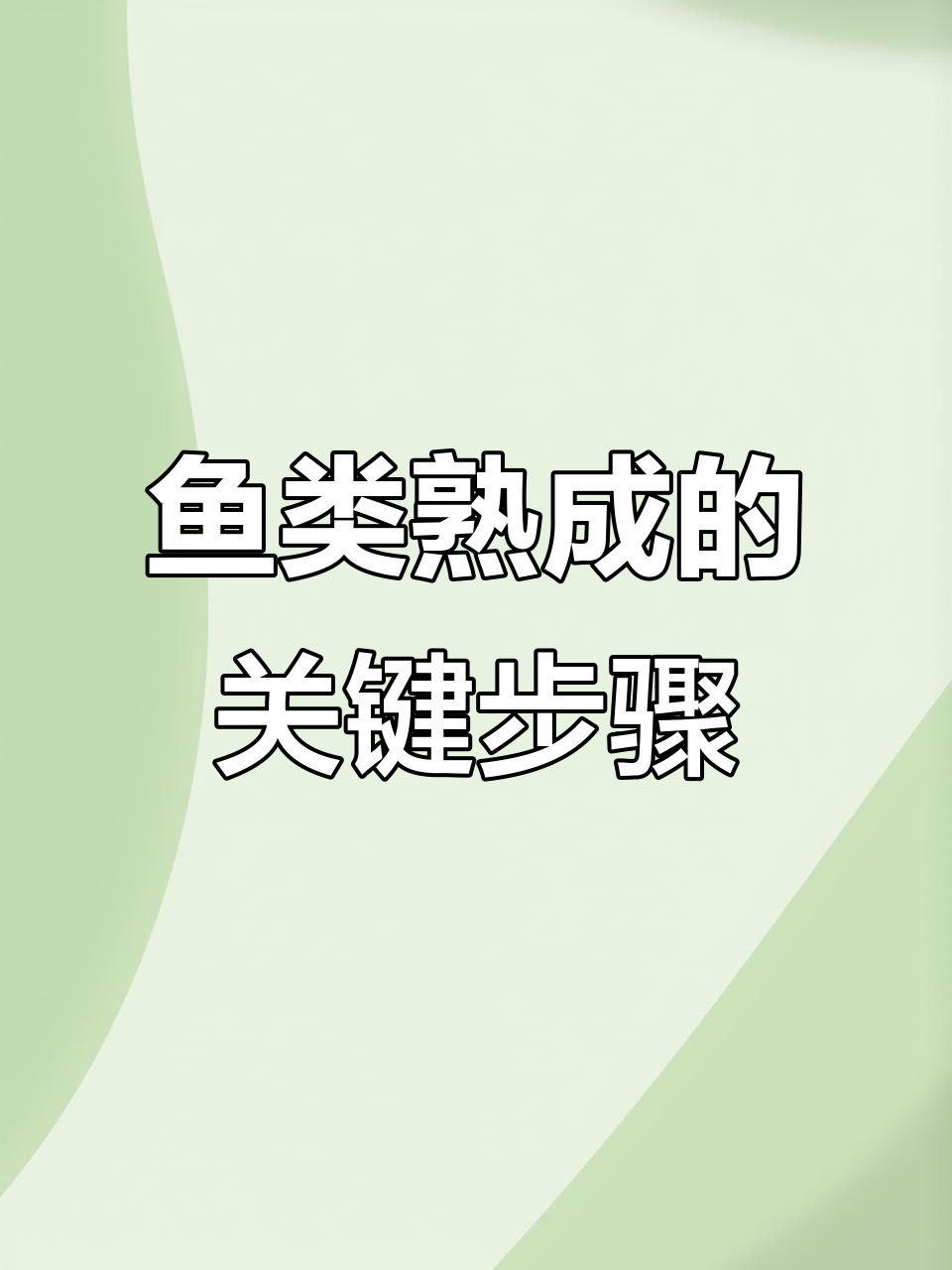 鱼类的熟成技巧:清理与保护全攻略
