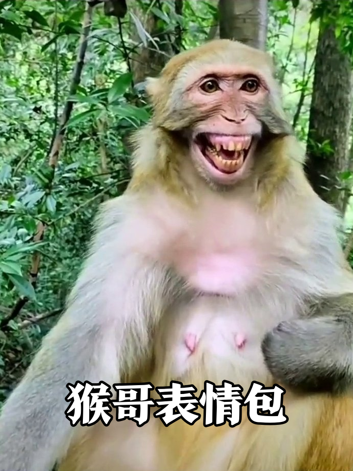 打工猴被迫营业生无可恋，转头笑出鹅叫表情太魔性