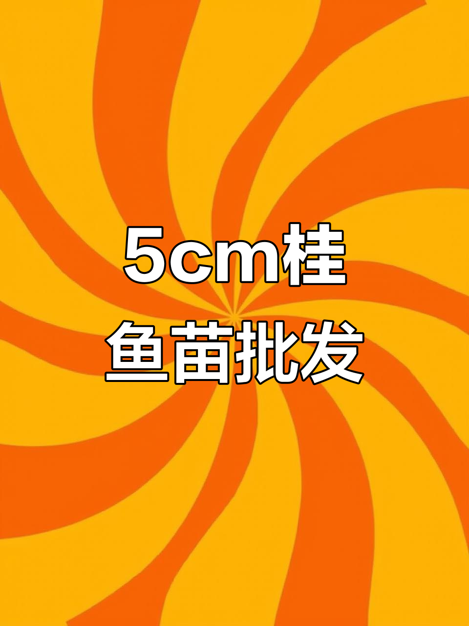 五公分桂鱼苗,100尾起订!四大家鱼任你选