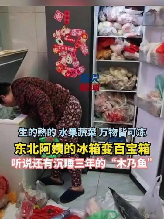 生的熟的 水果蔬菜 万物皆可冻 东北阿姨的冰箱变百宝箱 听说还有沉睡三年的“木乃鱼”（编辑
