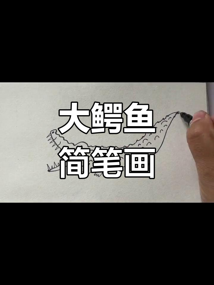 轻松学画大鳄鱼