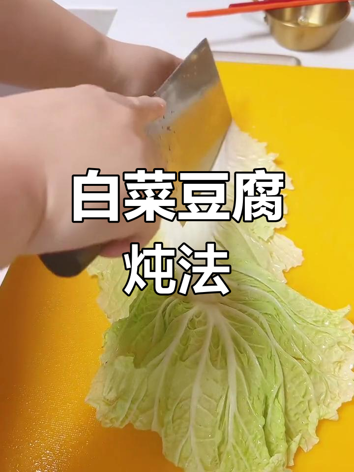 冬季家常炖菜,白菜豆腐粉条做法分享