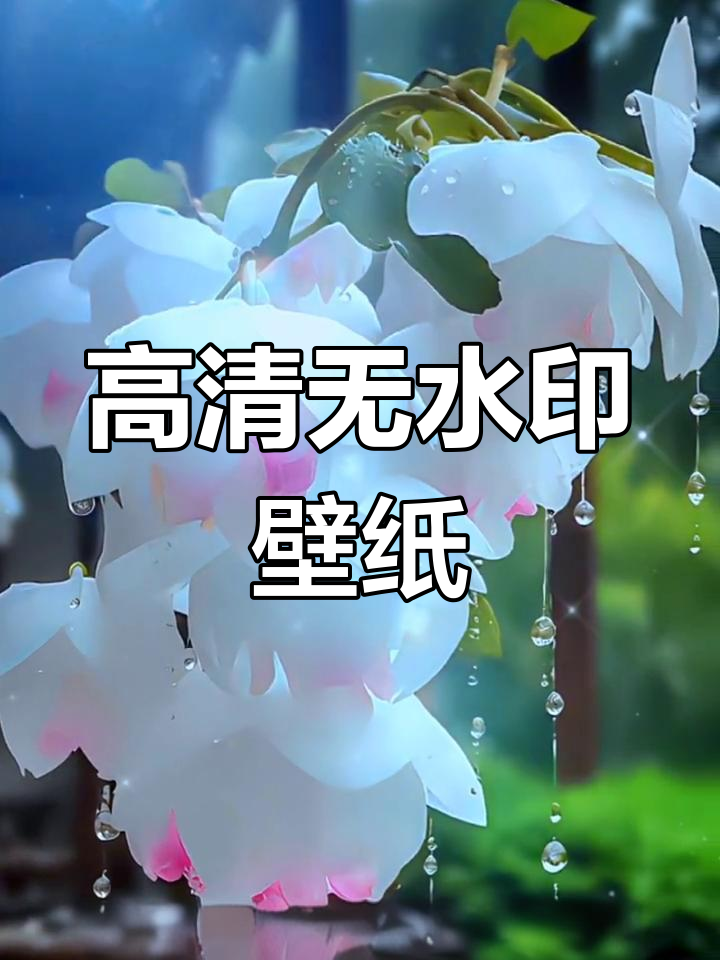 抖音闪闪壁纸高清下载教程