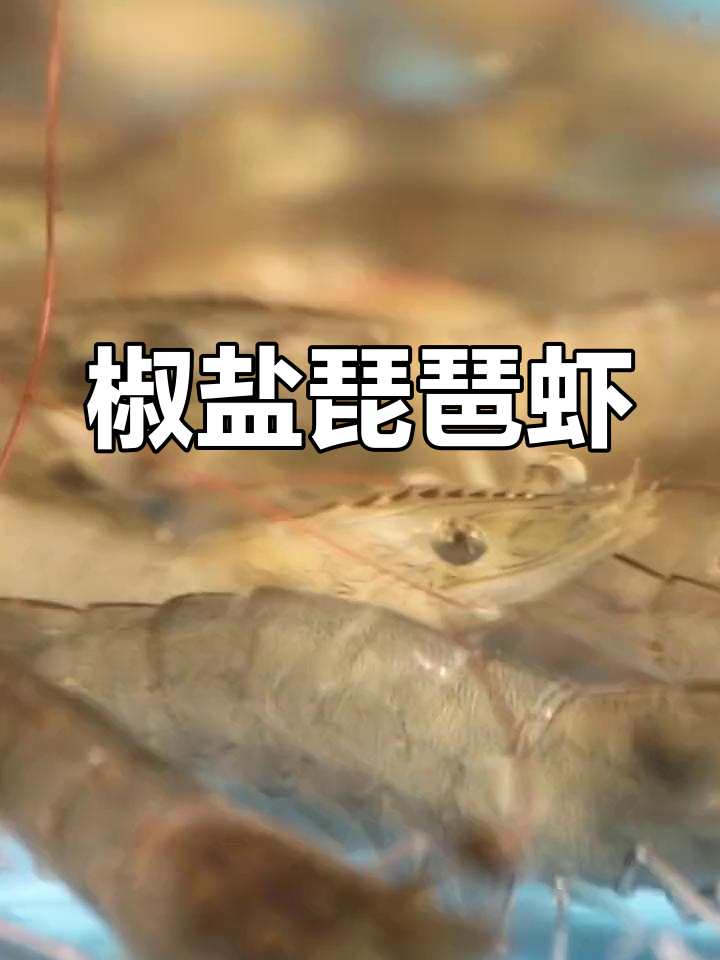 晚餐椒盐琵琶虾,舟山海鲜美味来袭