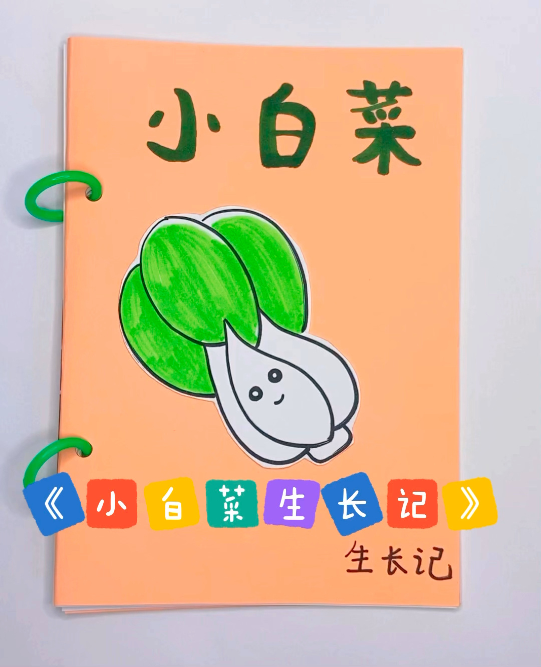 小白菜生长记