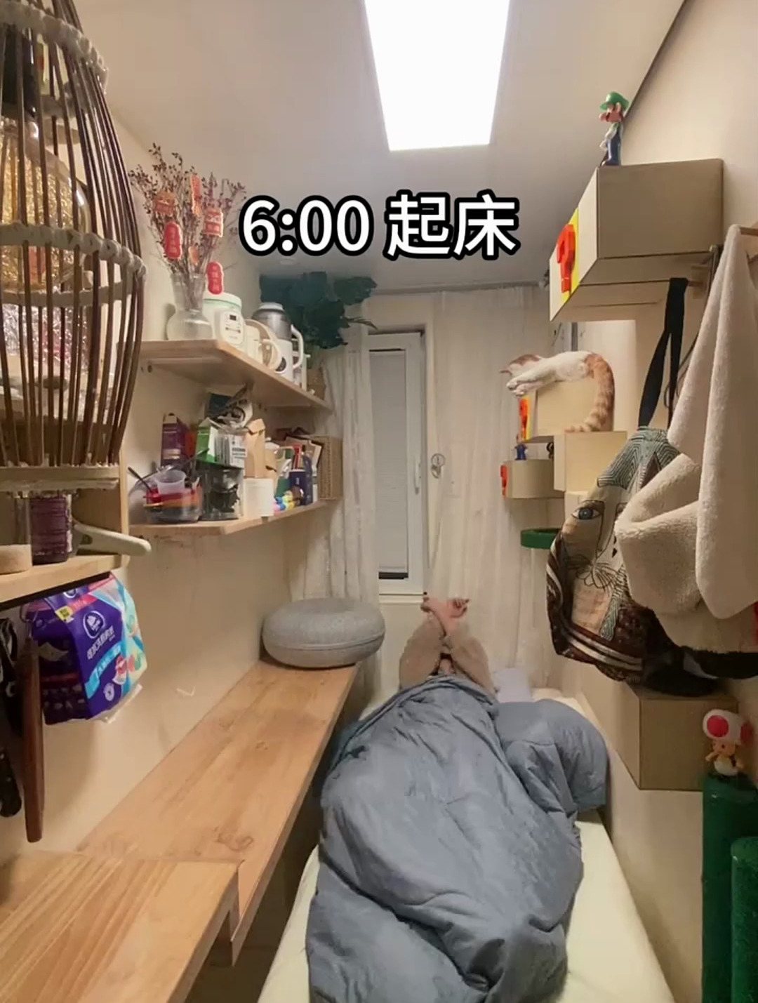 微笑的看待生活,于是生活也对我呈现微笑