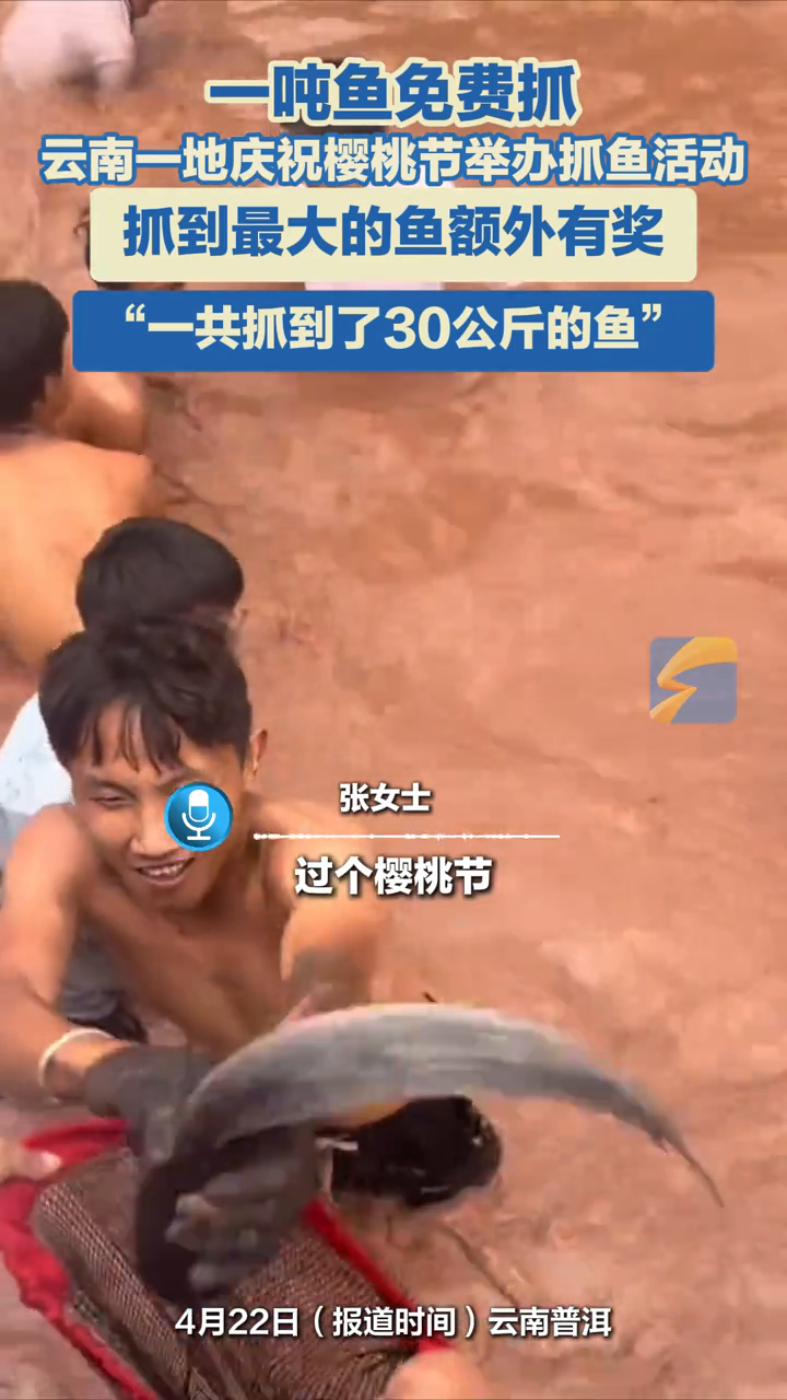 云南一地庆祝樱桃节举办抓鱼活动,抓到最大的鱼额外有奖