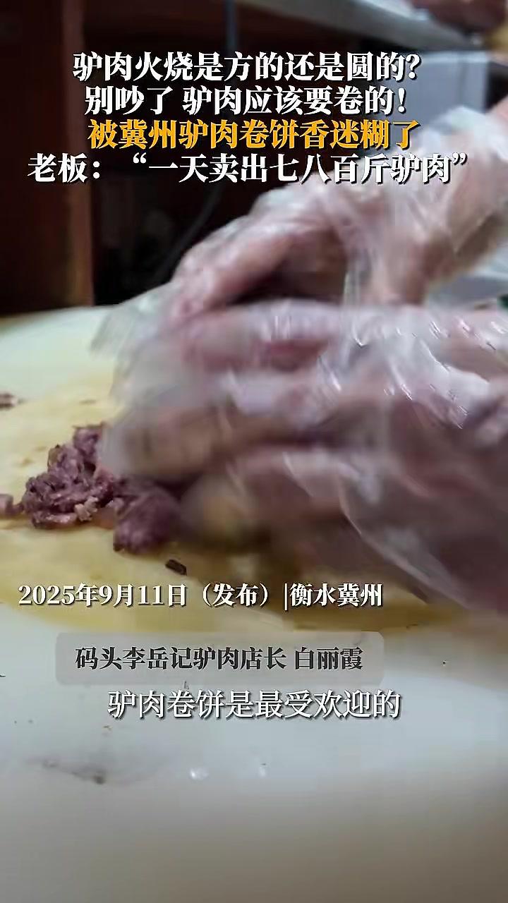 被冀州驴肉卷饼香迷糊了!饼香肉香,一口下去超满足!老板:“一天卖出七八百斤驴肉。” 谁懂这