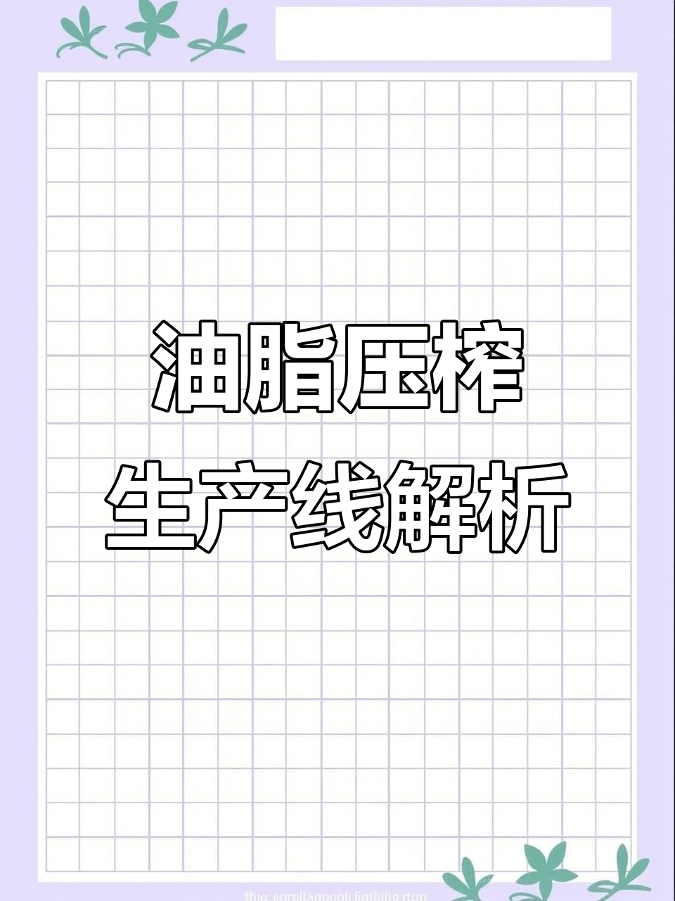 榨油机设备全流程展示,轻松了解菜籽油压榨过程