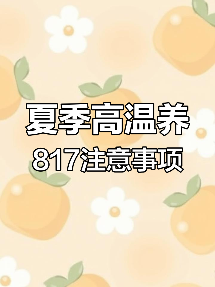 高温来临,如何应对817肉鸡养殖挑战
