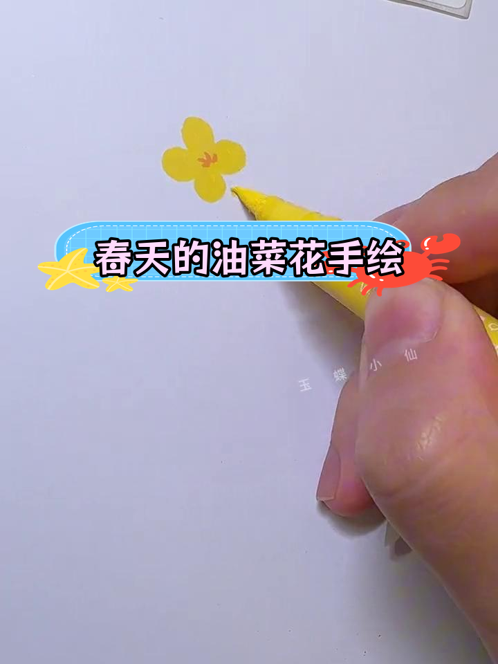 用马克笔轻松绘制春天油菜花,简单教程教你画出美丽花朵