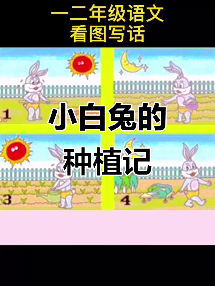 小白兔种菜的故事,看图写话轻松学