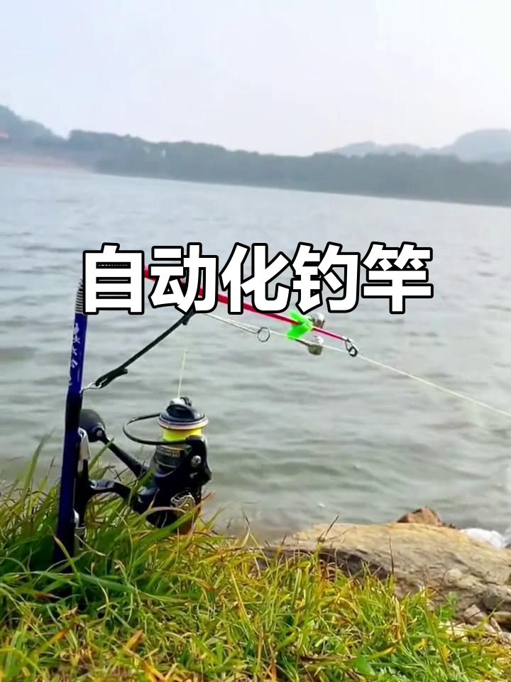 自动钓鱼竿，轻松捕捉海鱼！