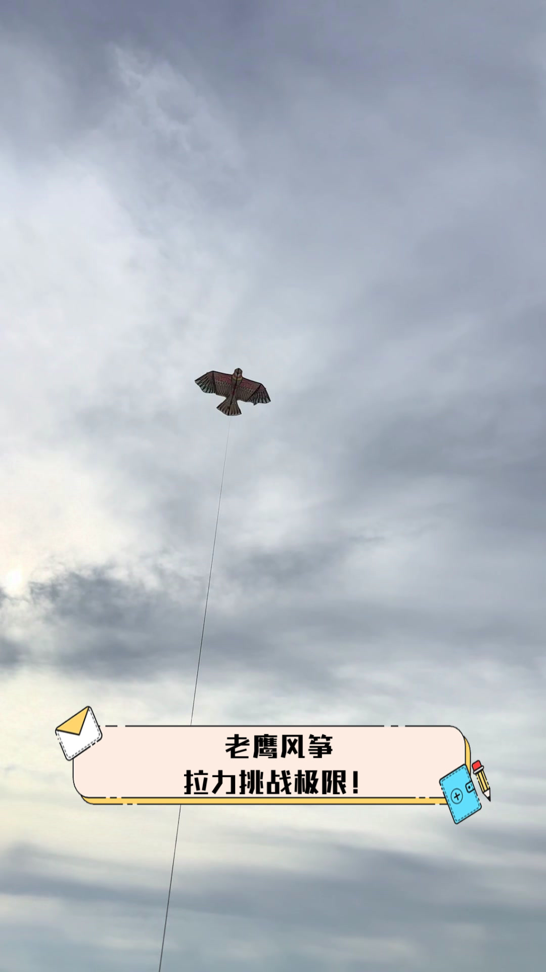 老鹰风筝,拉力挑战极限!