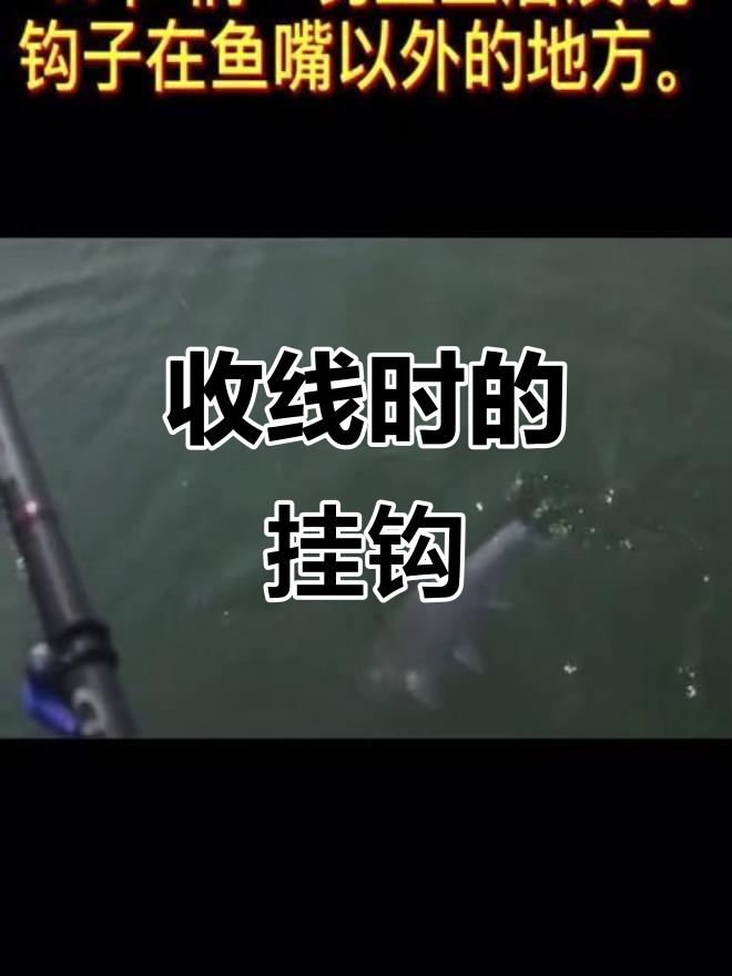拟饵收线时,鱼钩挂到鱼的嘴巴以外部位