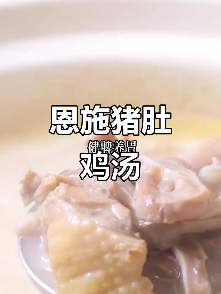 恩施猪肚鸡:广东经典美味,鲜美汤底让人怀念