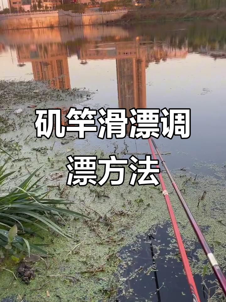 矶竿滑漂调漂技巧,如何精准逗钓鲤鱼