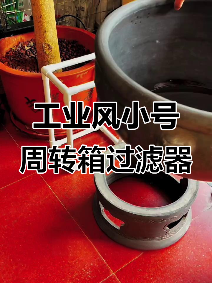 小号周转箱过滤安装全流程,轻松搞定鱼盆滤材配置