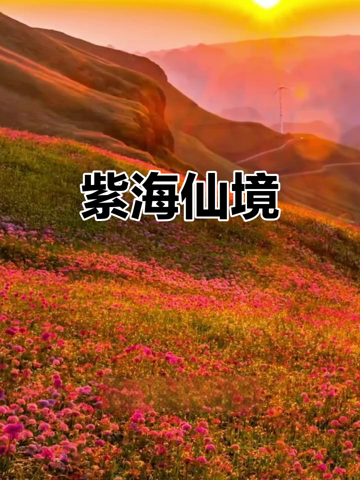 贵州韭菜坪,紫海美景令人陶醉,绝对值得一游!
