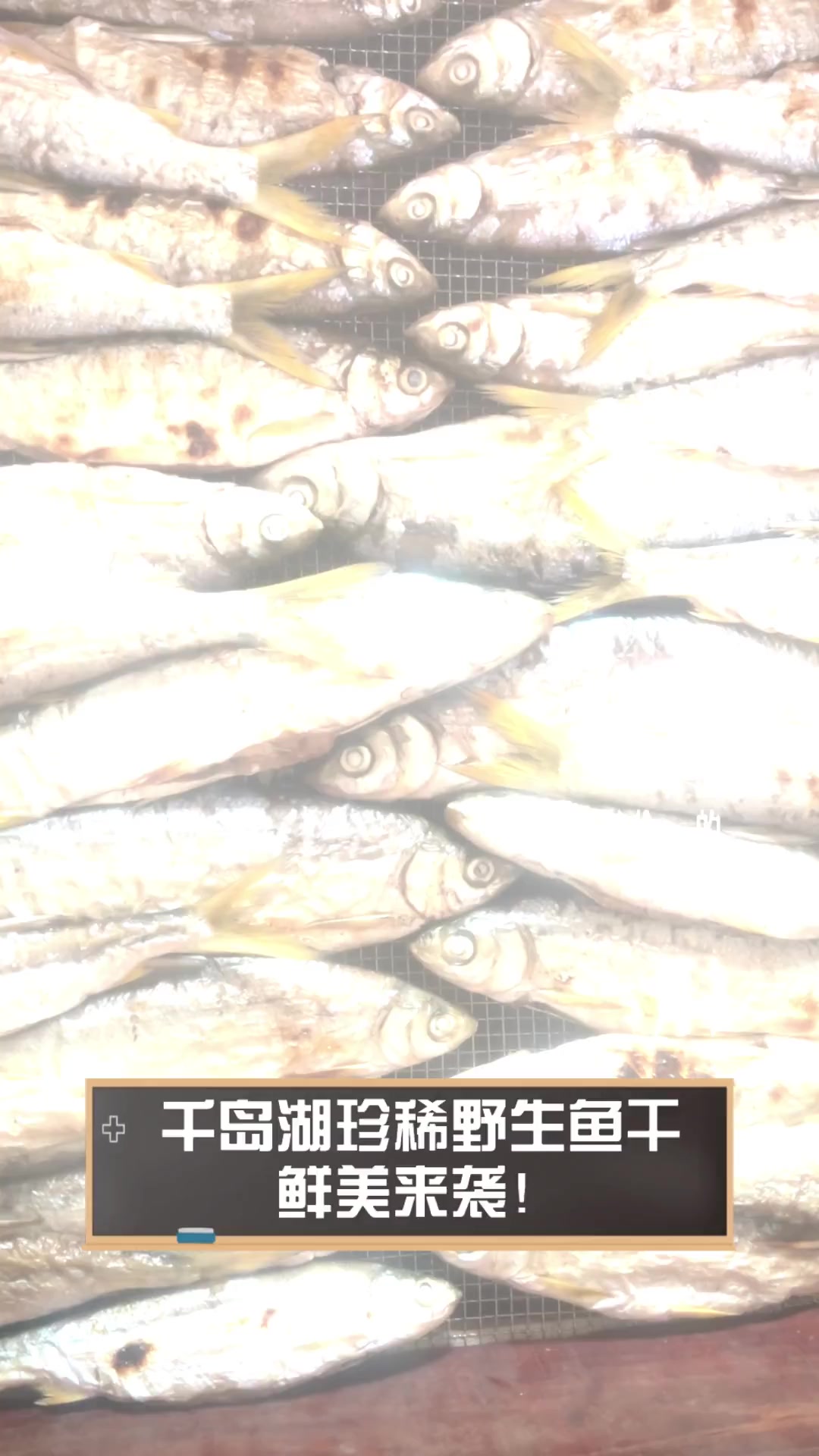 千岛湖珍稀野生鱼干,鲜美来袭!