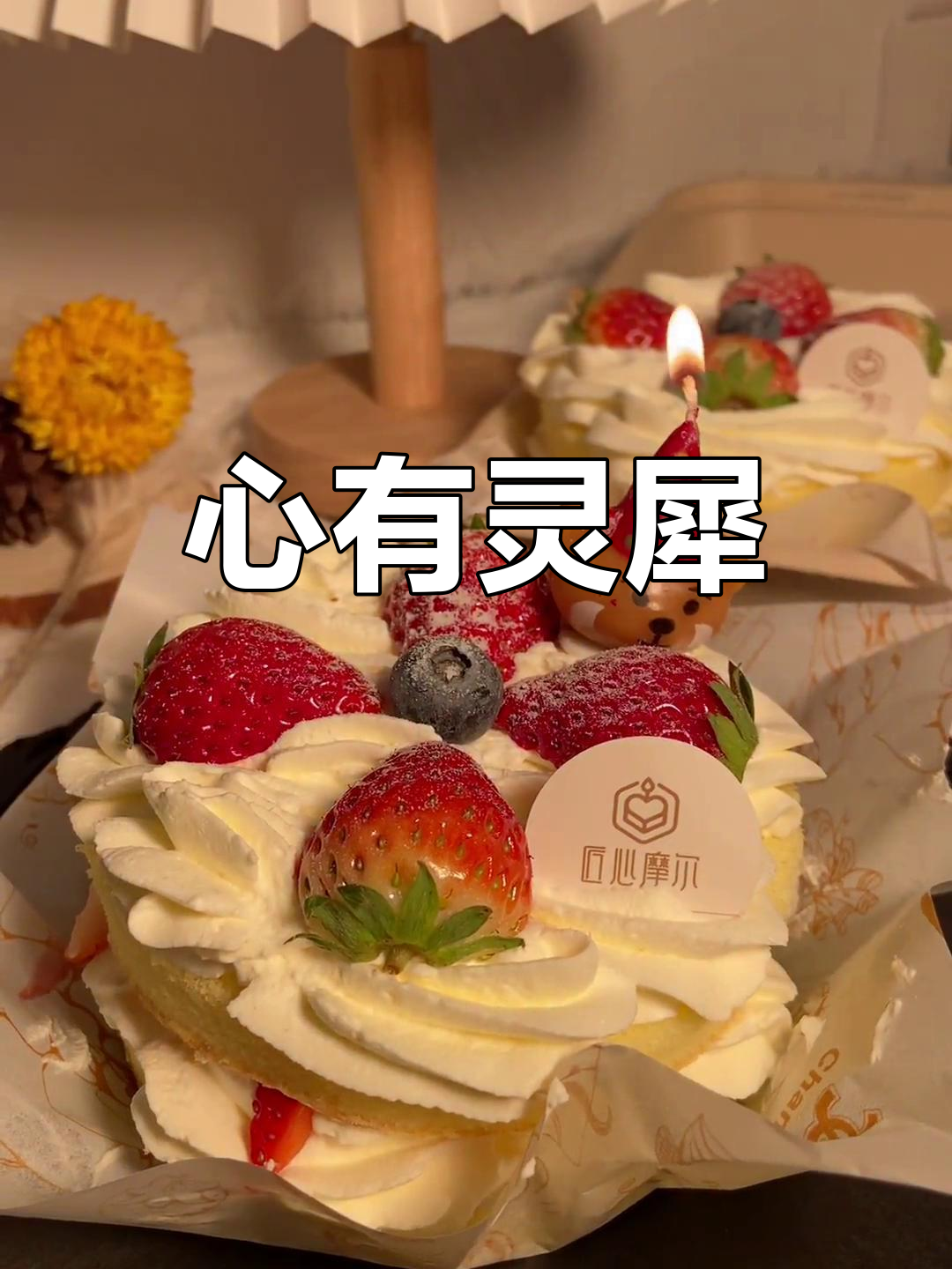 你说想吃草莓蛋糕,我这就去买!