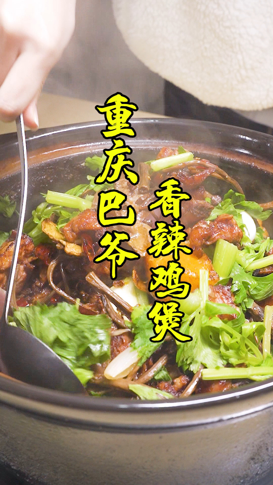 重庆巴爷香辣鸡煲