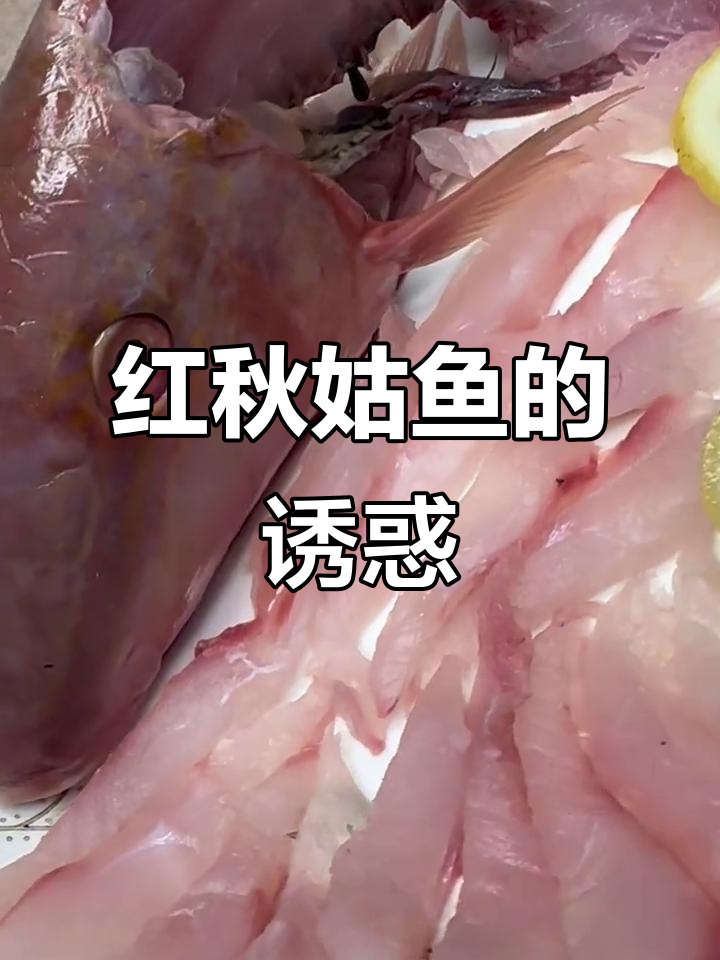 红秋姑鱼香煎鲜美,肉质媲美龙虾,刺生口感独特