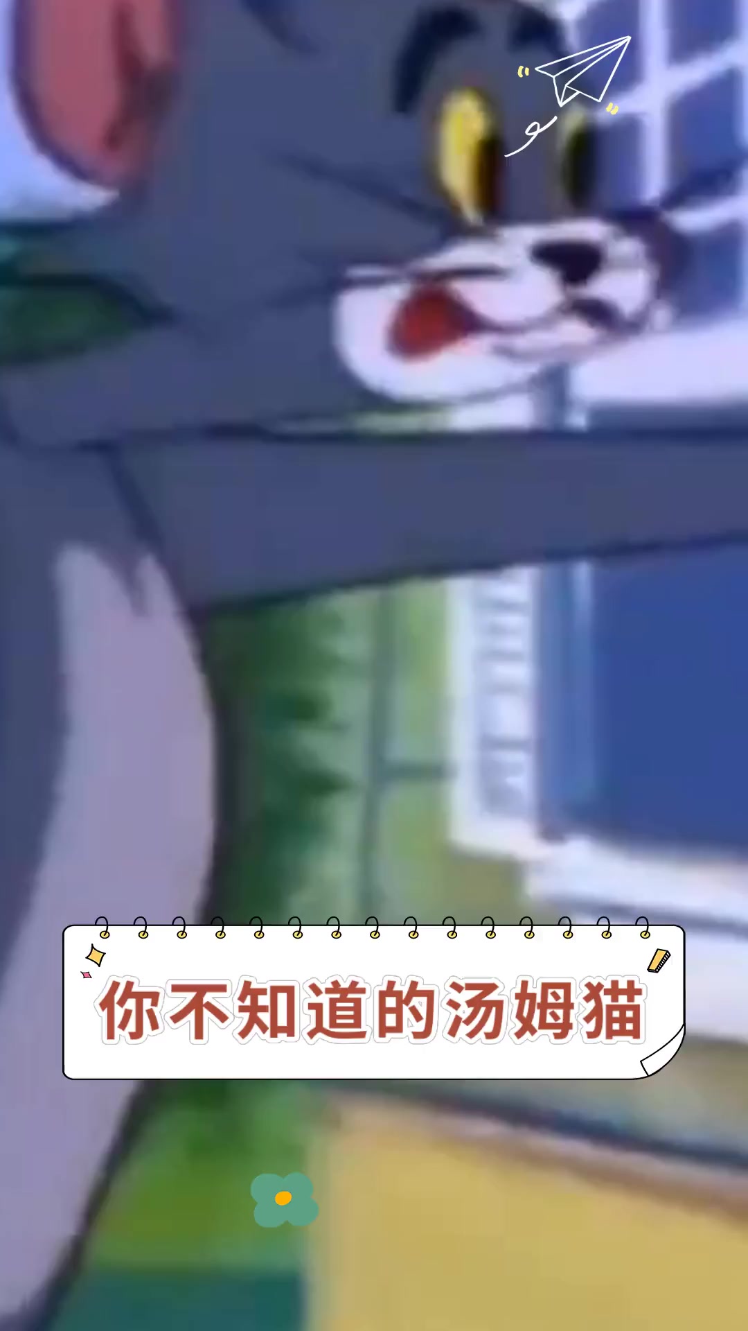 你不知道的汤姆猫