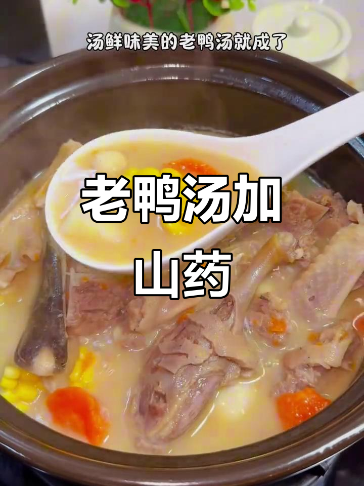 山药玉米老鸭汤，四季滋补美味鲜香