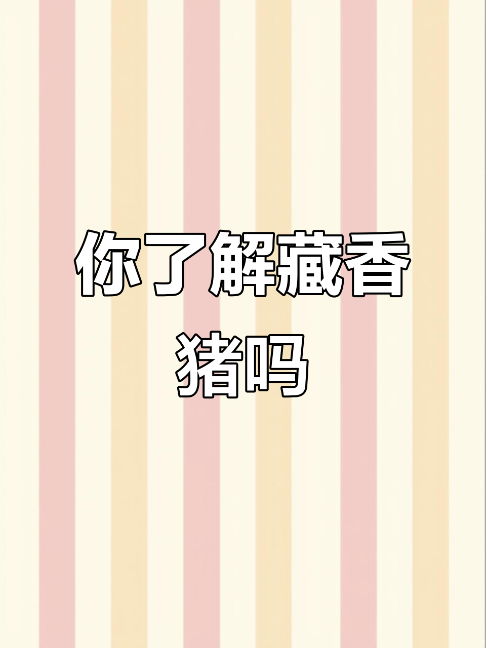 藏香猪：西藏特有的金贵美味，你见过吗？